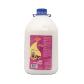 Condicionador Brincalhão Avelã/Óleo de Pracaxi 5lt
